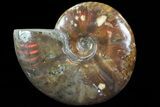 Flashy Red Iridescent Ammonite - Wide #81831-1